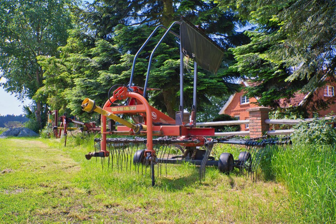 Bauernhofurlaub Bei Familie Bokeloh