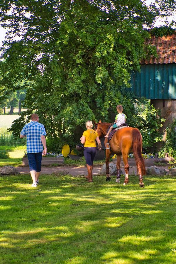 Ferienhaus Bauernhofurlaub Bei Familie Bokeloh